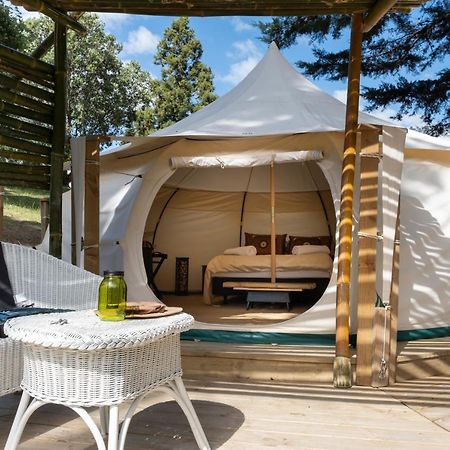 Kerikeri Glamping Hotel Eksteriør billede