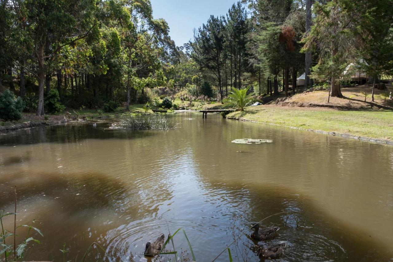 Kerikeri Glamping Hotel Eksteriør billede