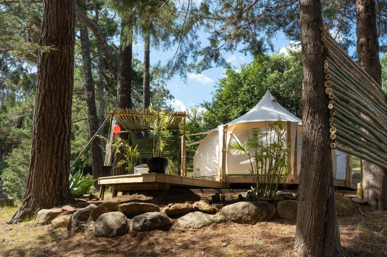Kerikeri Glamping Hotel Eksteriør billede