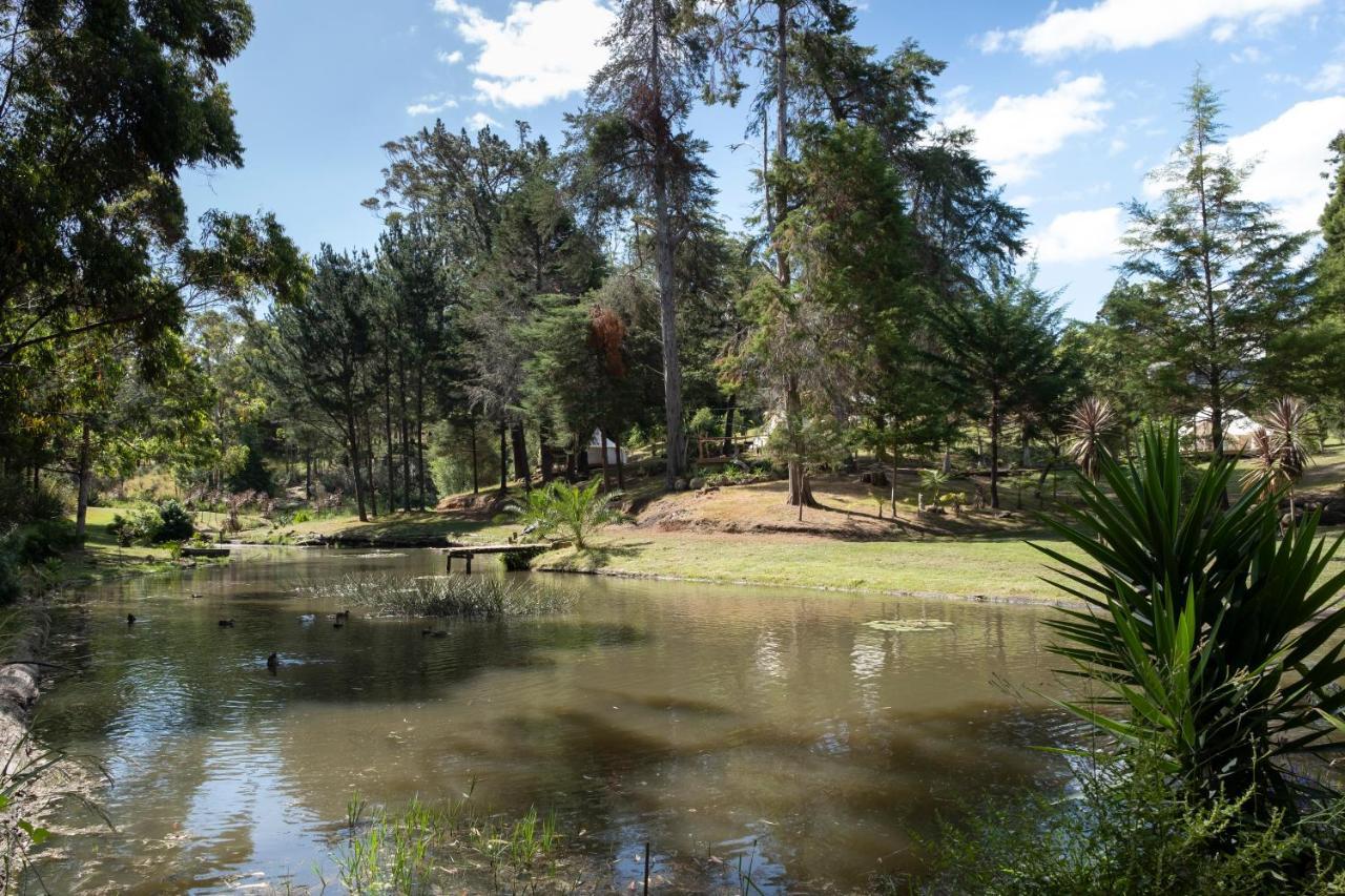 Kerikeri Glamping Hotel Eksteriør billede