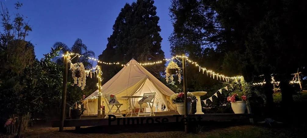 Kerikeri Glamping Hotel Eksteriør billede